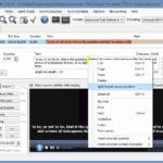 Subtitle formats: </br>what are they?