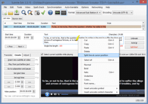 Subtitle formats: </br>what are they?